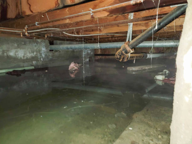 Best Flooded house restoration  in Wlowbrook, IL