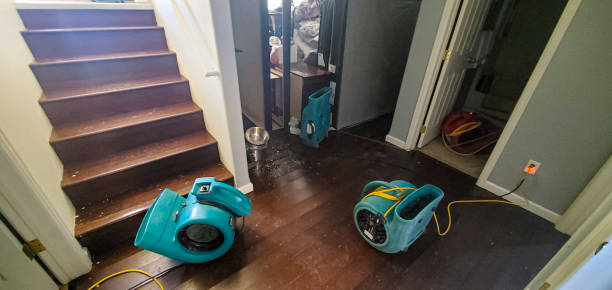 Best Water damage restoration near me  in Wlowbrook, IL