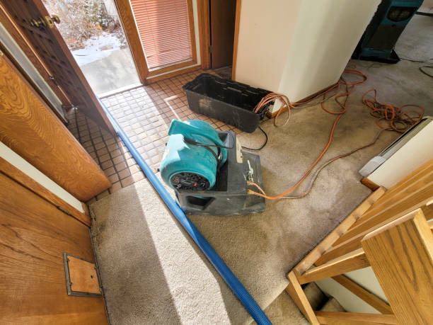 Water damage restoration insurance claims in IL