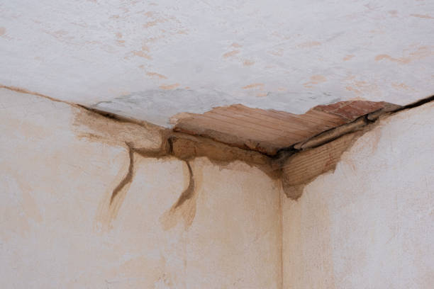 Best Sewage cleanup and water damage restoration  in Wlowbrook, IL