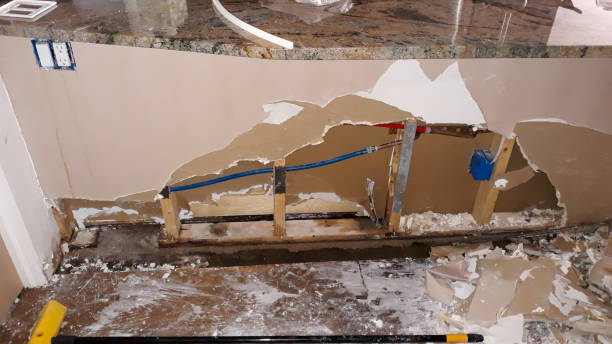 Best 24-hour water damage restoration  in Wlowbrook, IL